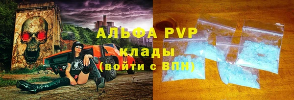 индика Балабаново
