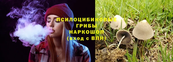индика Балабаново