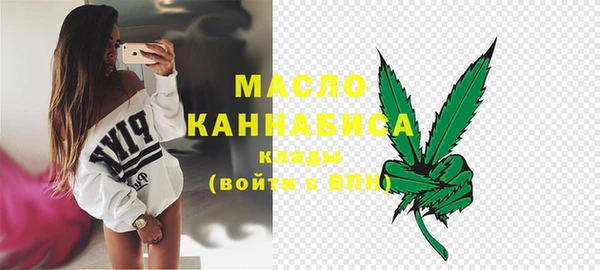 индика Балабаново
