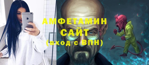 индика Балабаново