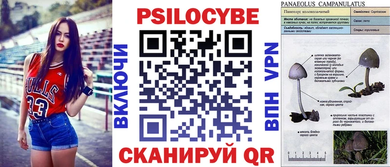 Псилоцибиновые грибы мицелий  Купить где  Светлогорск 